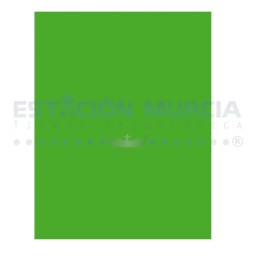 Cartulina Color Verde Claro Extra Grande - Ideal para Proyectos Creativos