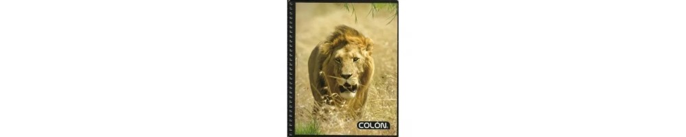 Cuadernos: Universitarios, Croquis, College y Especializados