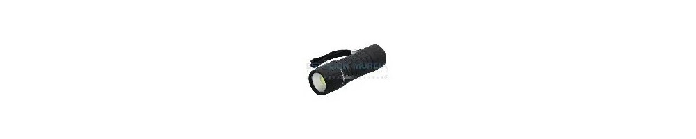 Linternas y Lámparas | Hogar | Camping | Emergencia | Pilas | Recargables | Solar | Estación Murcia®